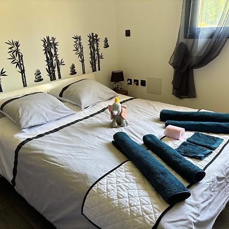 Maison Moderne Au Calme Avec Billard, Jacuzzi, Bain A Remous, Piscine, Babyfoot Labastide-du-Temple Ngoại thất bức ảnh
